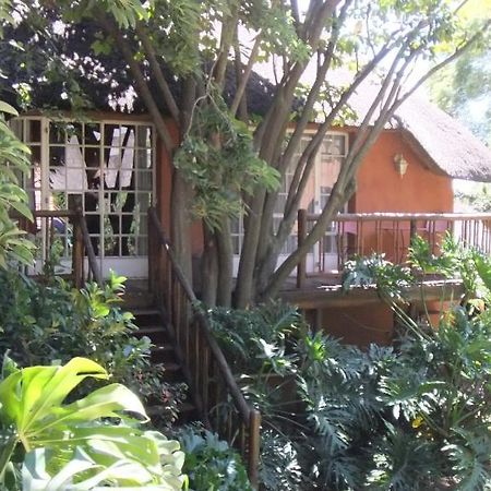 Treetops & Treats Guest House Pretoria Exterior foto