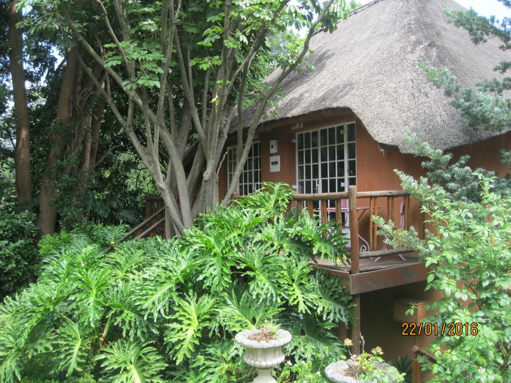 Treetops & Treats Guest House Pretoria Exterior foto
