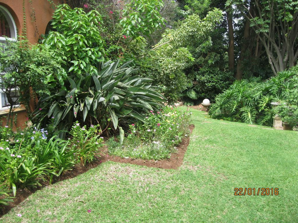 Treetops & Treats Guest House Pretoria Exterior foto