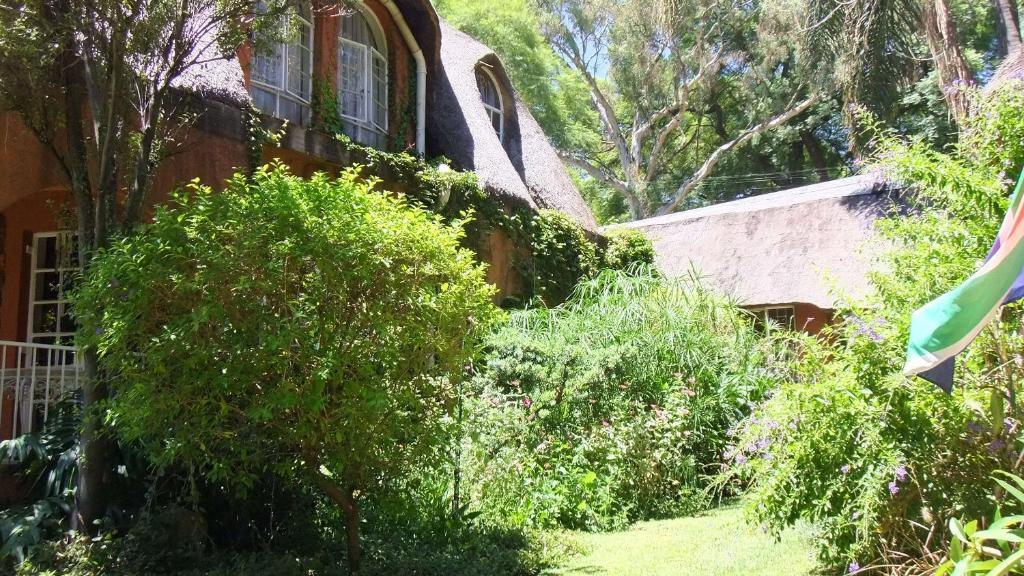 Treetops & Treats Guest House Pretoria Exterior foto