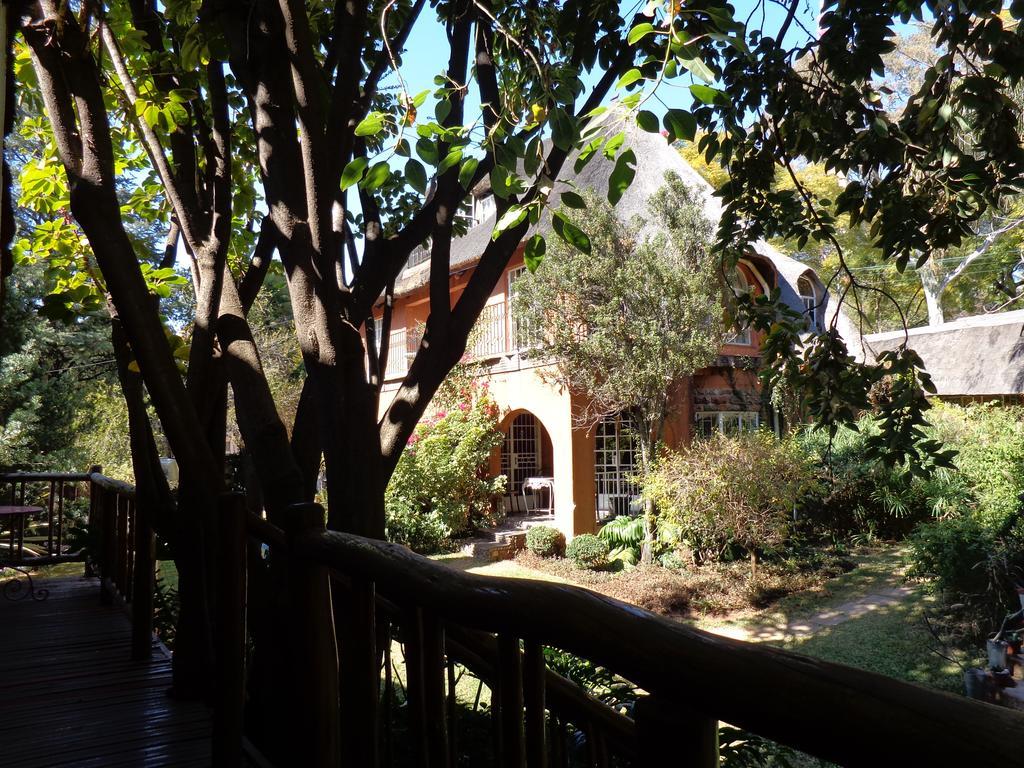 Treetops & Treats Guest House Pretoria Exterior foto