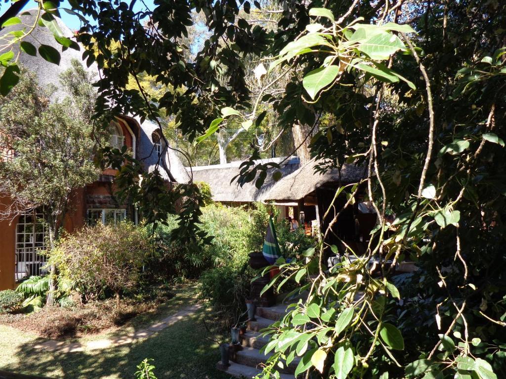 Treetops & Treats Guest House Pretoria Quarto foto